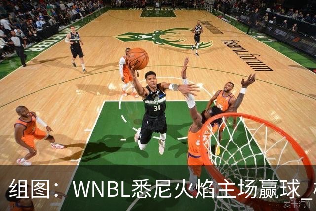 组图：WNBL悉尼火焰主场赢球 杨舒予与队友庆祝胜利